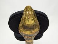 Signed Isabelle Faure Cobra brass sculpture chair black alcantara 1970s